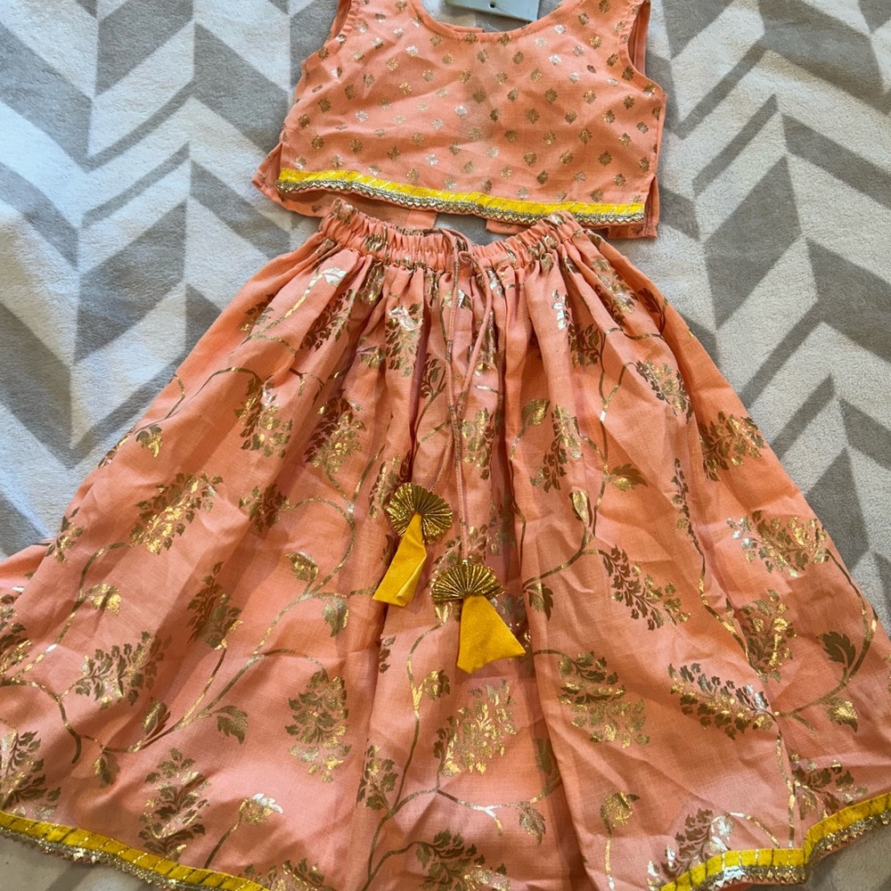 Indian Lehnga Peach and Gold Embellished